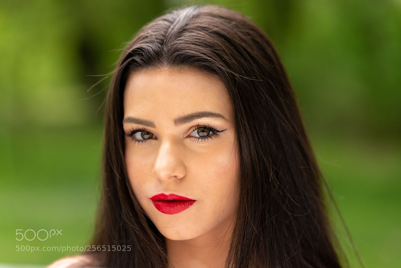 Nikon D610 sample photo. Untitled photography