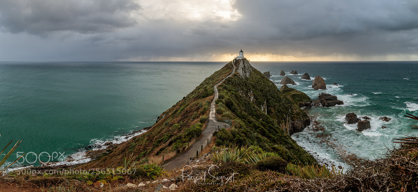 Canon EOS 5D Mark IV sample photo. Nugget point lighthouse photography