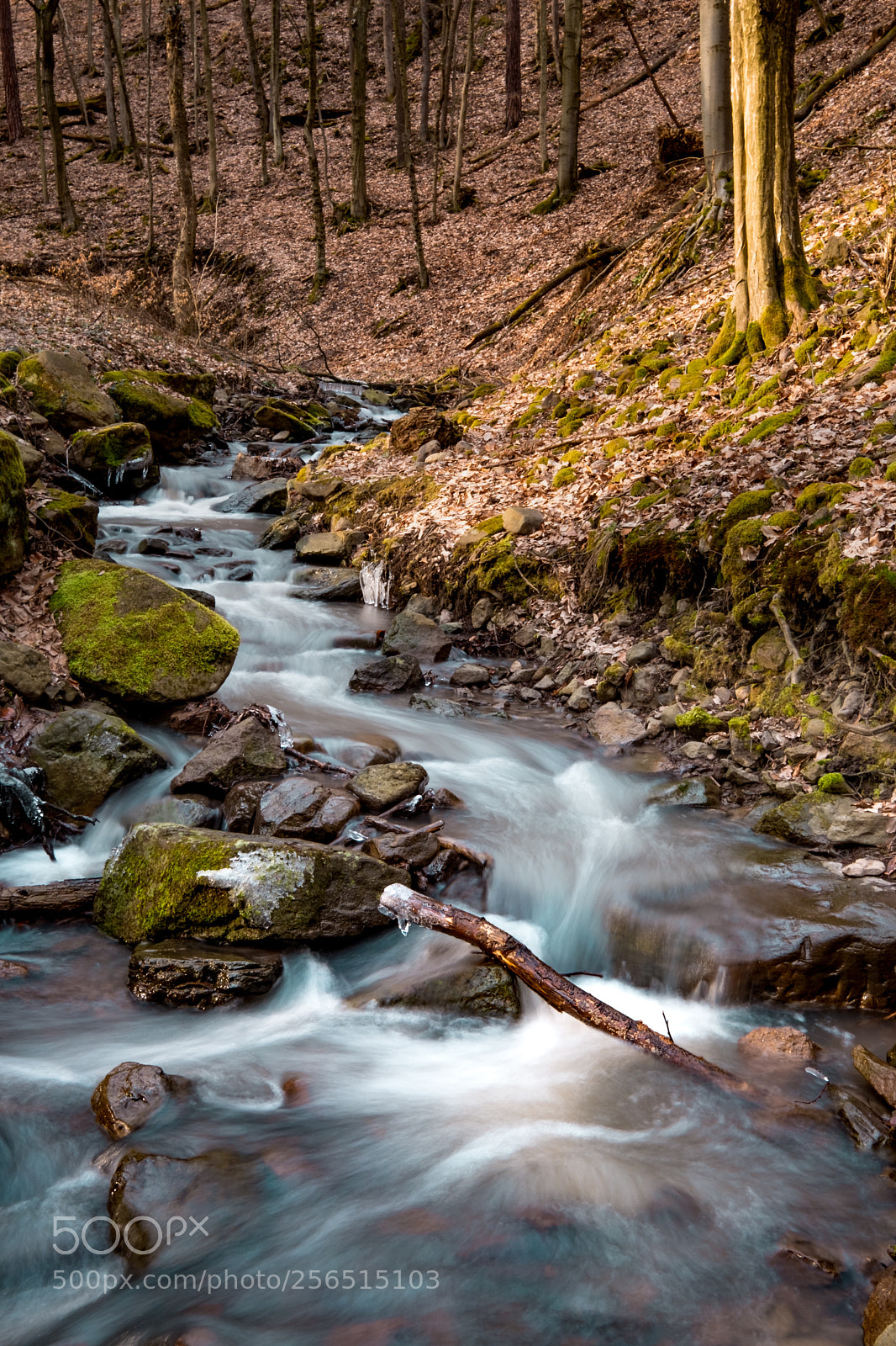 Fujifilm X-T2 sample photo. Creek photography