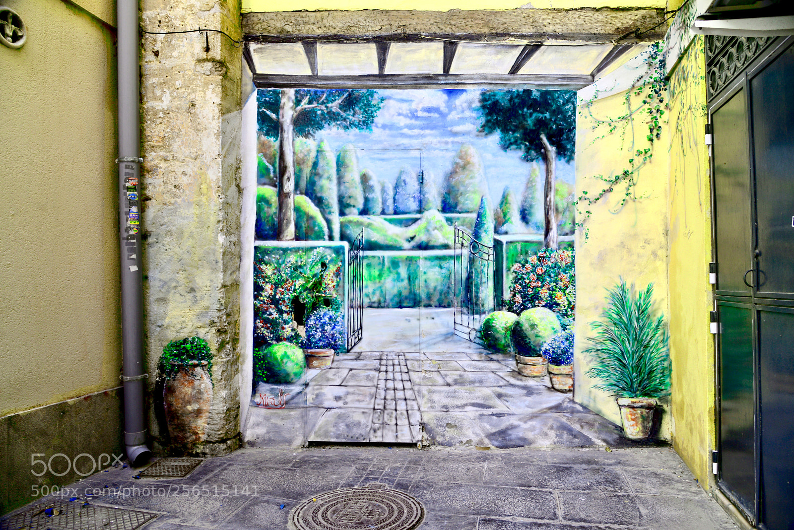 Nikon D610 sample photo. Garden on the wall photography