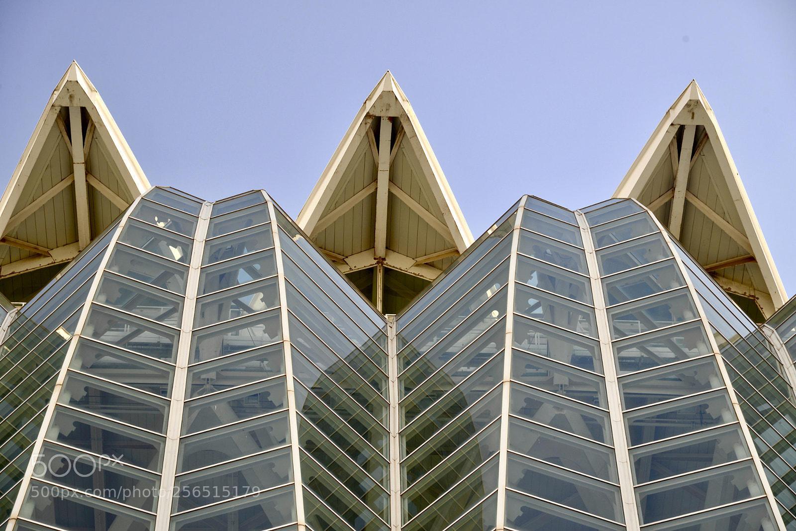 Nikon D610 sample photo. Geometry i photography
