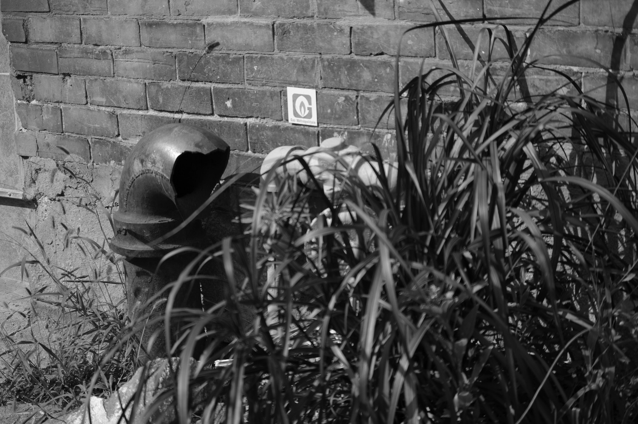Pentax K20D sample photo. K photography
