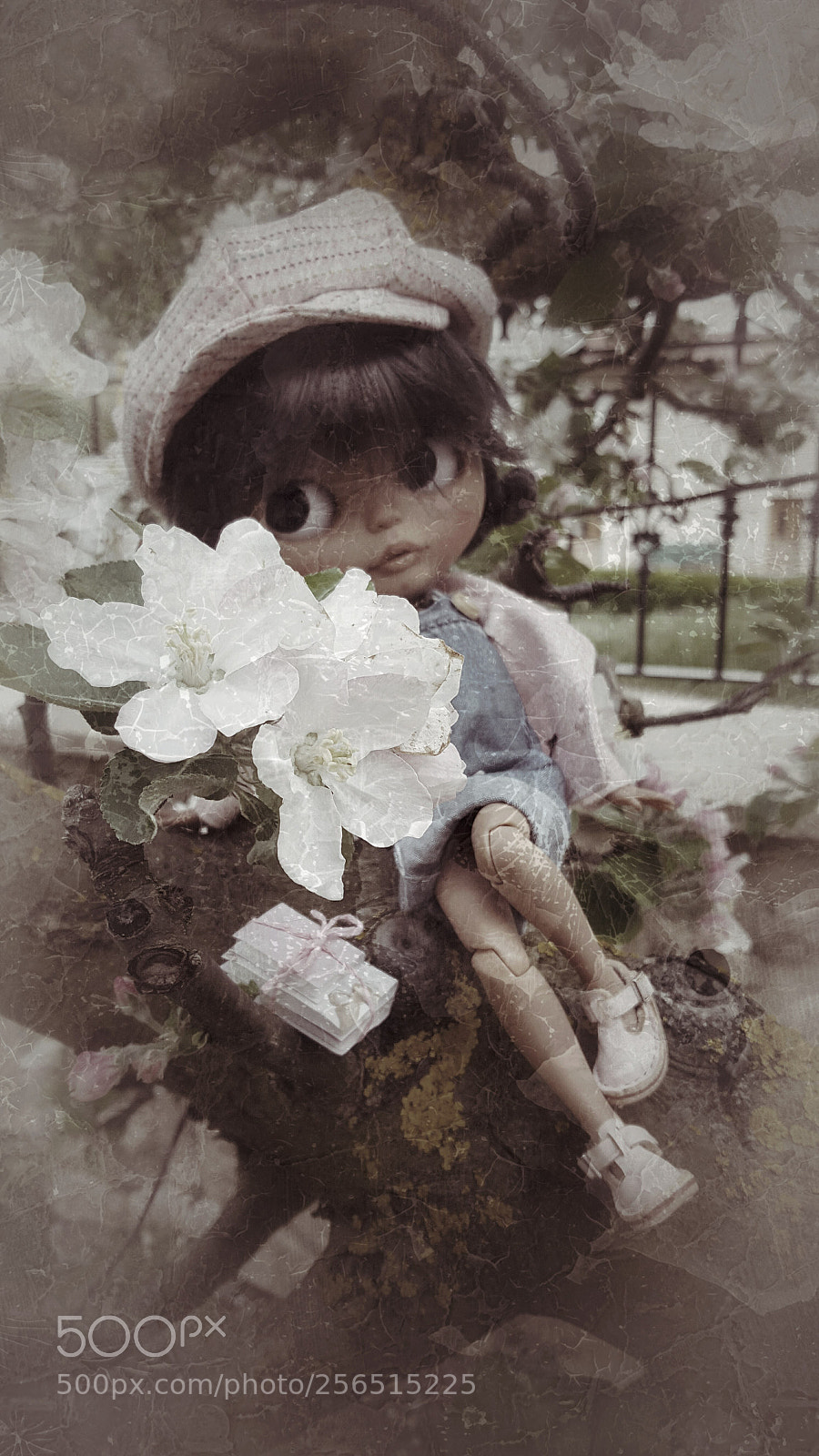 Samsung Galaxy S6 sample photo. Untitled photography