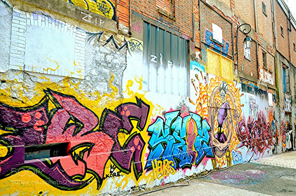 Nikon D5100 sample photo. 88 - orléans (france) photography
