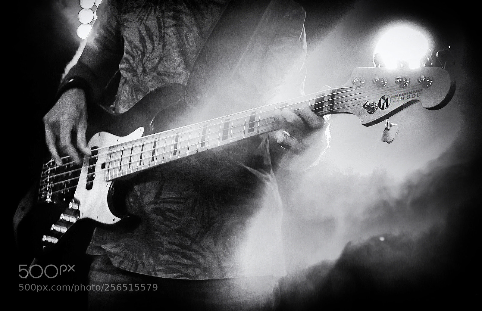 Canon EOS 5D Mark II sample photo. Elwood bass photography