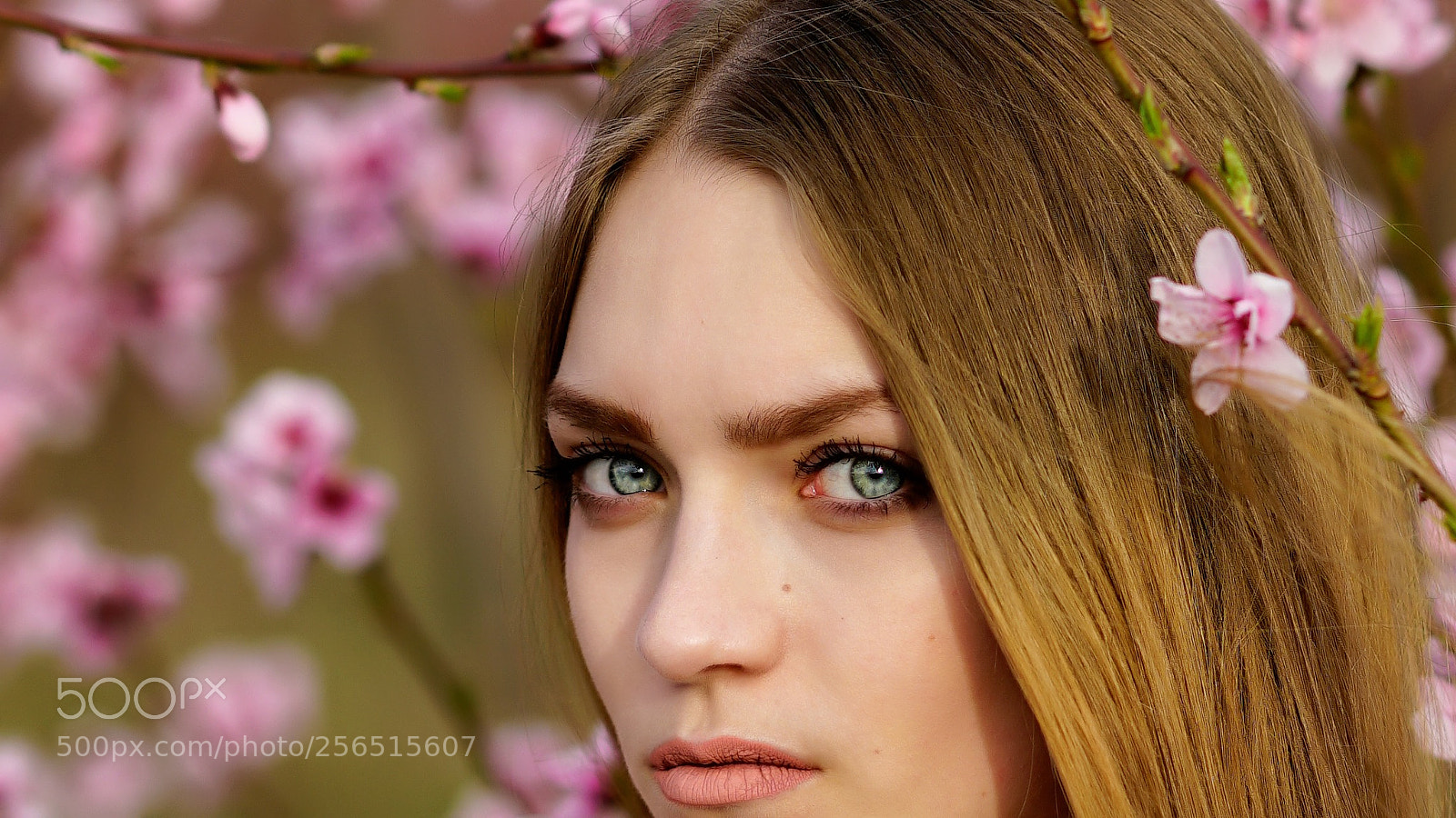 Sony a7R II sample photo. Mariya photography