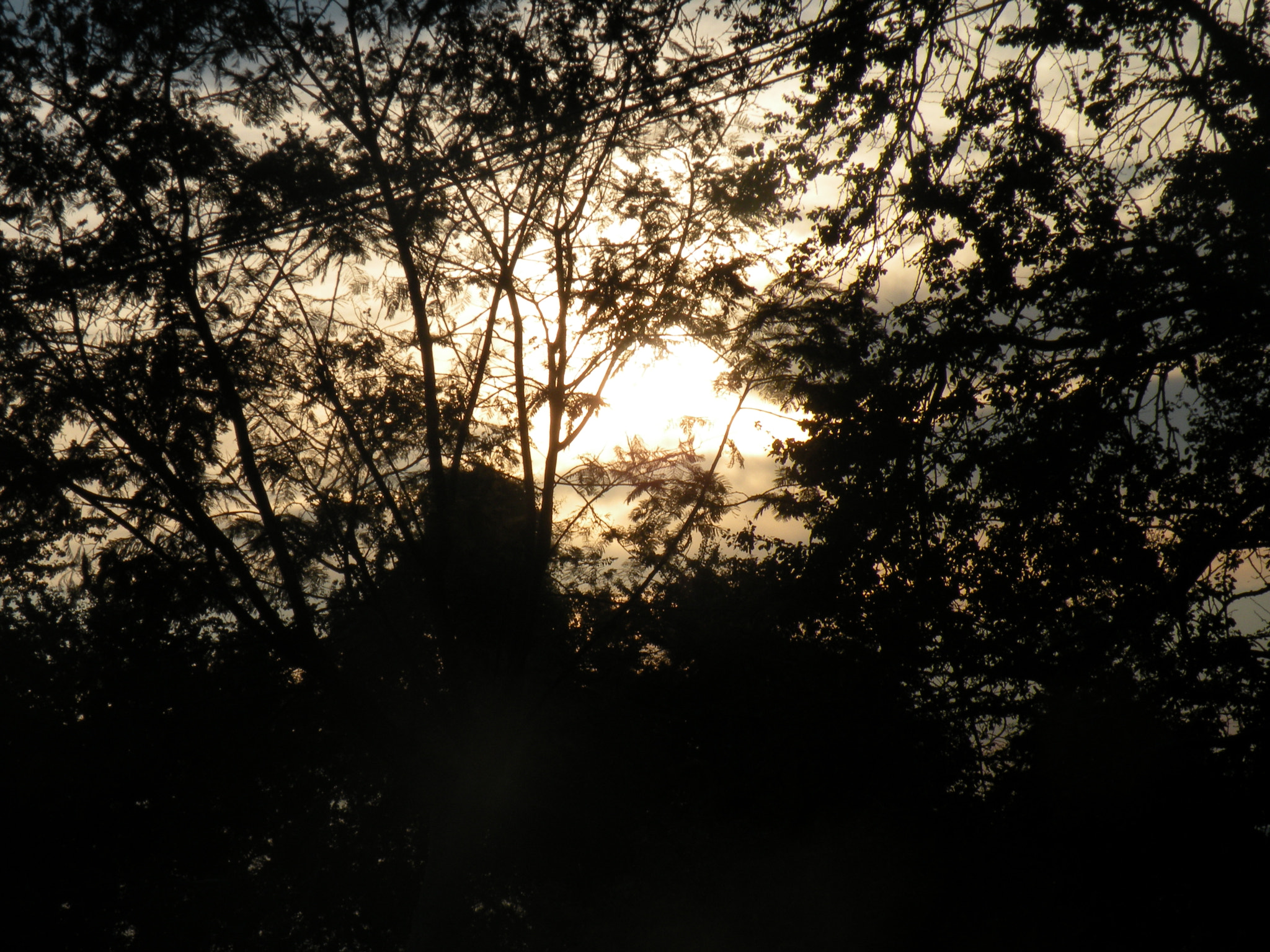 Nikon Coolpix P80 sample photo. Tarde photography