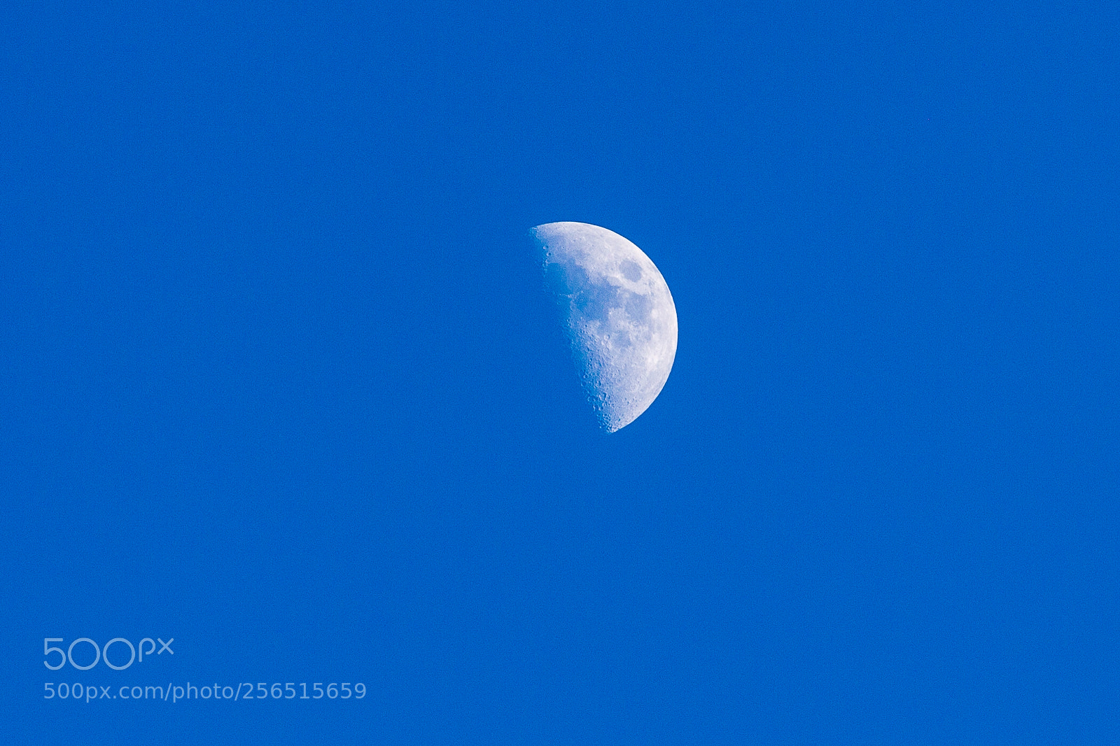 Canon EOS 5D Mark II sample photo. Untitled photography