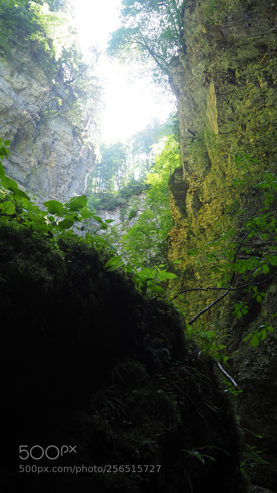Olympus OM-D E-M10 II sample photo. Üble schlucht photography