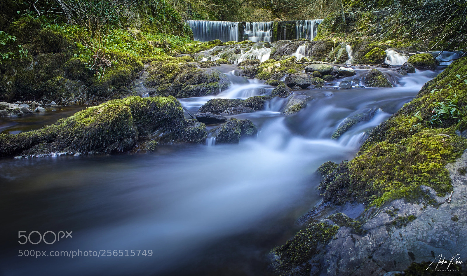 Canon EOS 80D sample photo. Stock ghyll photography