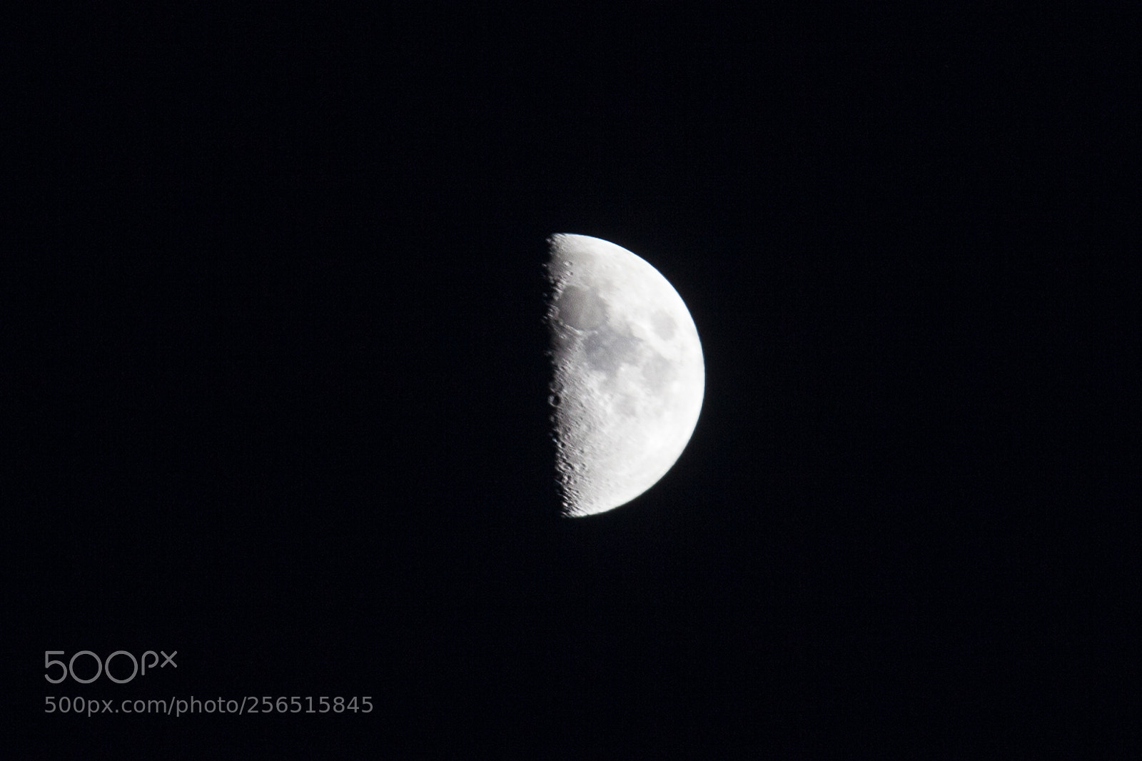 Canon EOS 5D Mark II sample photo. Untitled photography