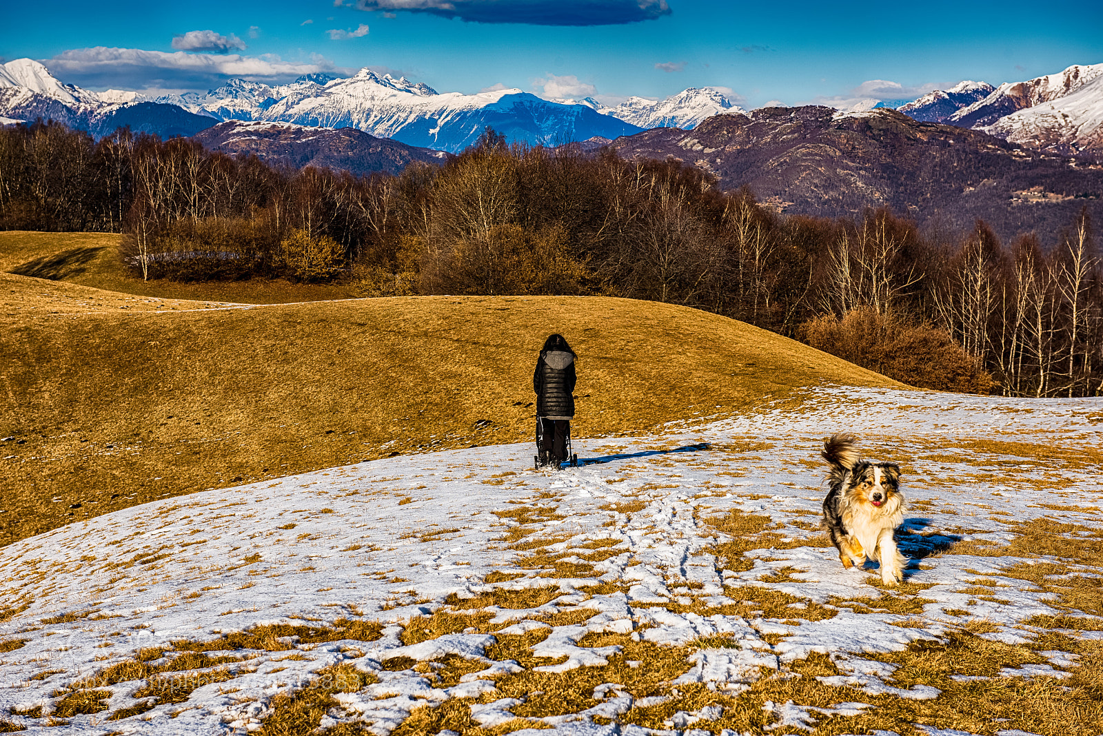 Nikon D810 sample photo. A sunny winter sunday  photography