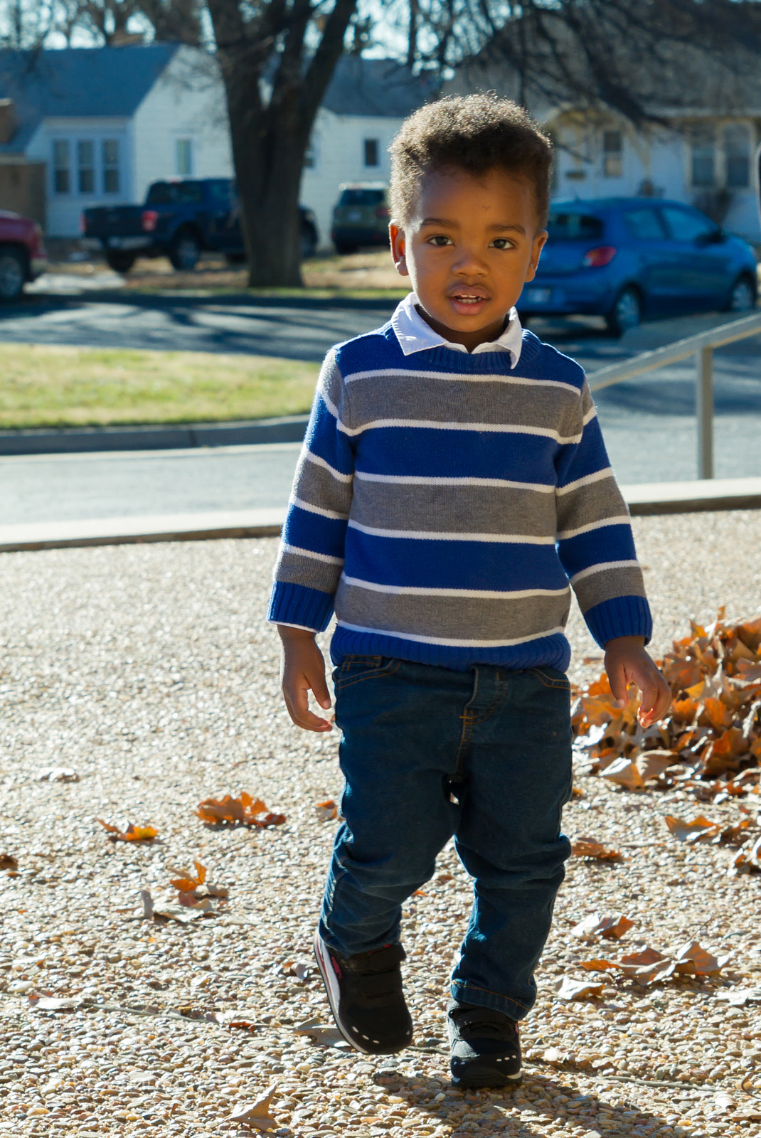Canon EOS 7D sample photo. Beecfo photography
