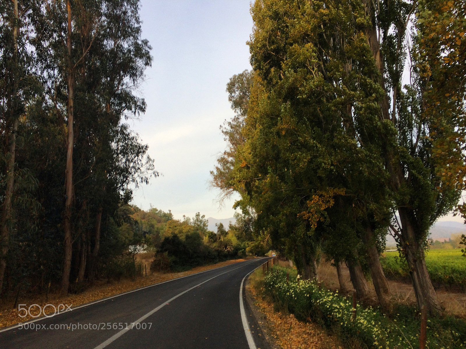 Apple iPhone 5s sample photo. Las ciclovías  photography