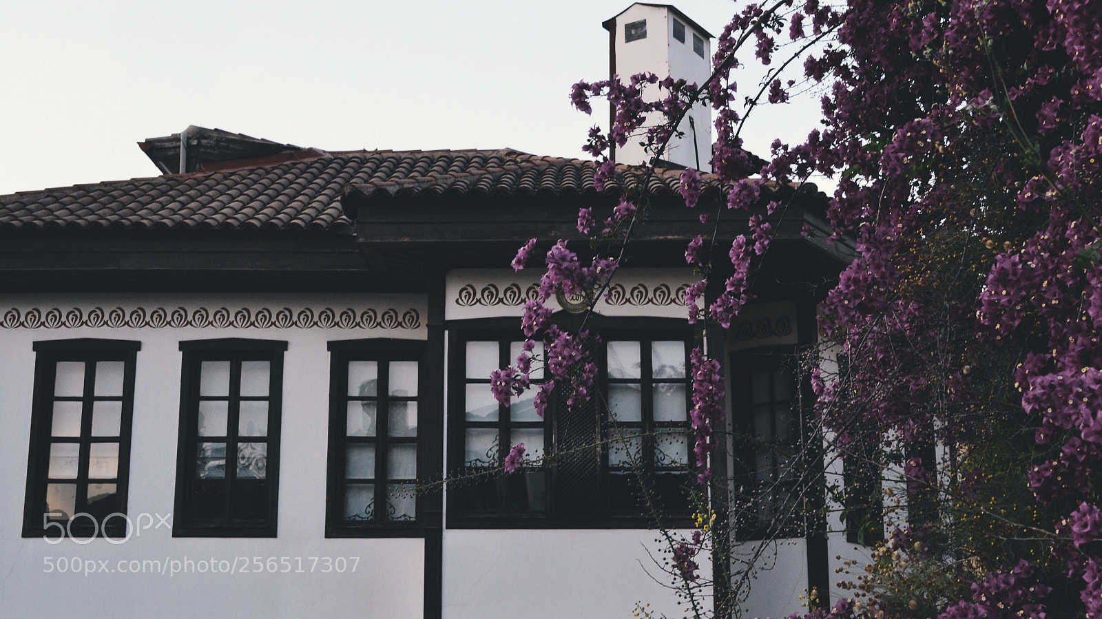 Nikon D3100 sample photo. A house photography