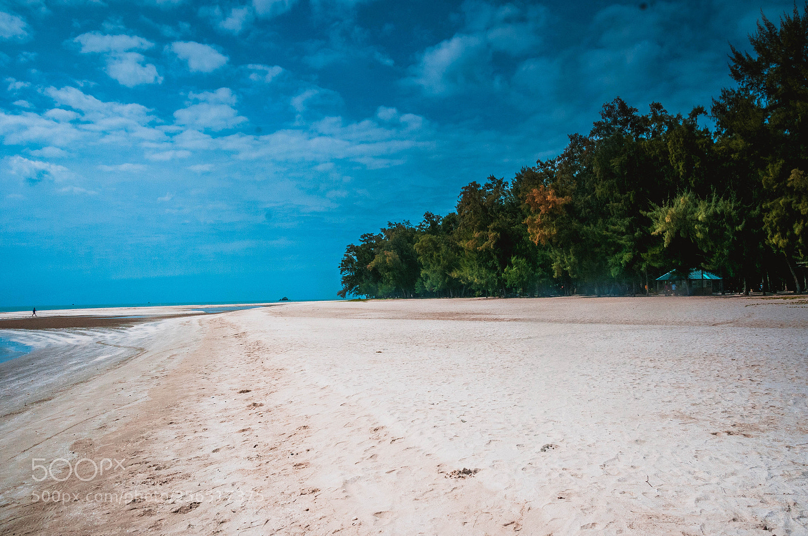 Nikon D300S sample photo. Beach photography