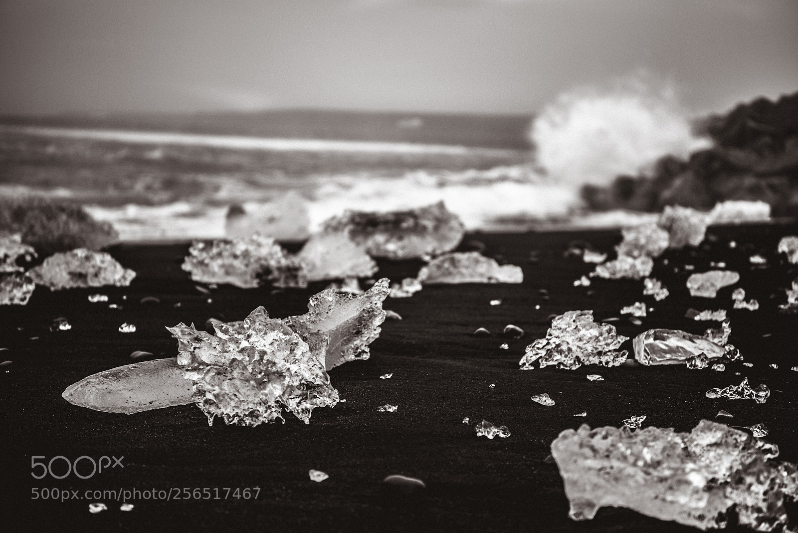 Nikon D800 sample photo. Diamonds on the beach photography