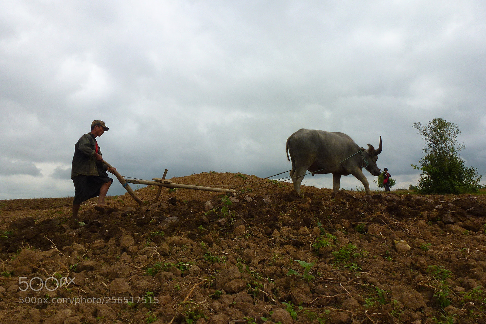 Panasonic Lumix DMC-ZS10 (Lumix DMC-TZ20 / Lumix DMC-TZ22) sample photo. Plowing ... photography