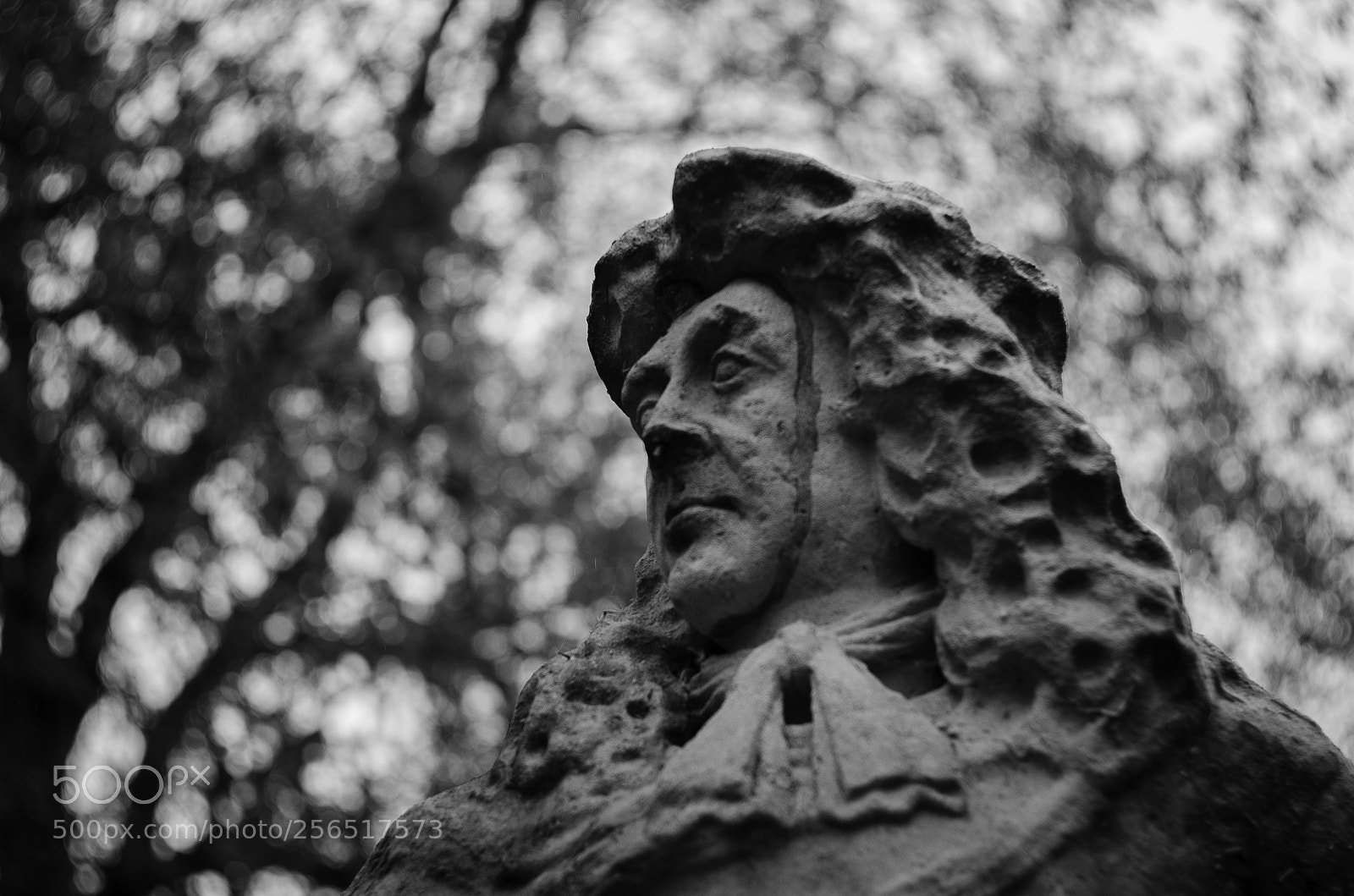 Nikon D7000 sample photo. Charles ii photography
