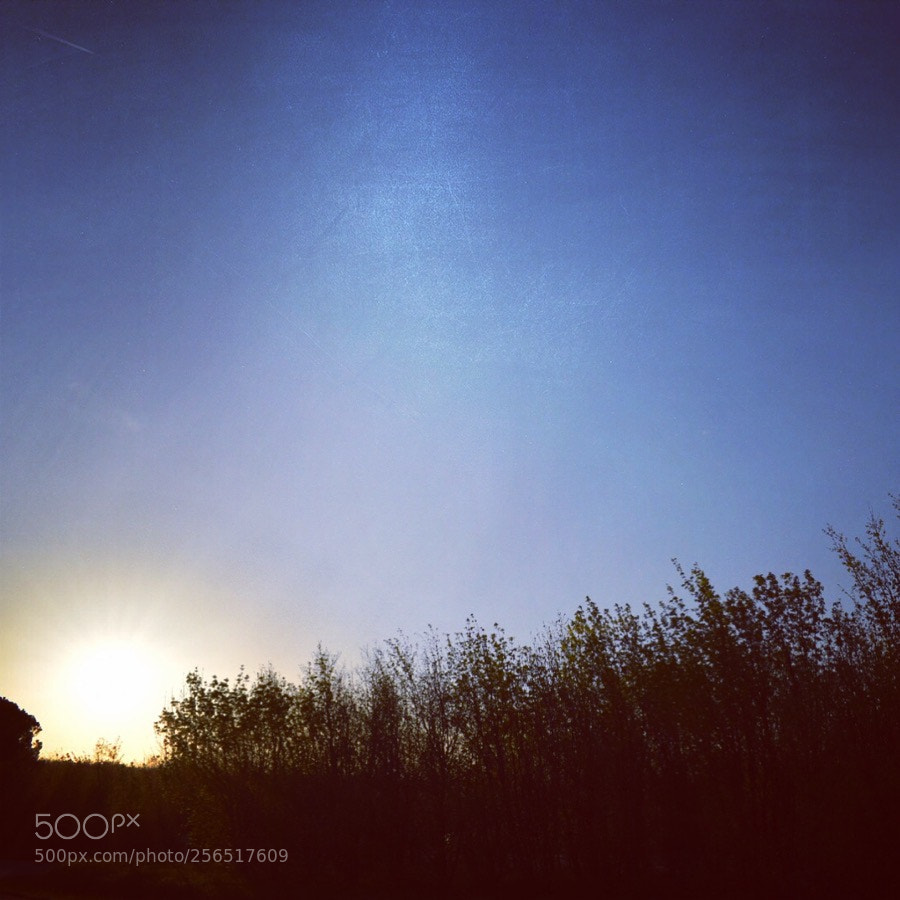 Nikon D5300 sample photo. Coucher de soleil depuis photography