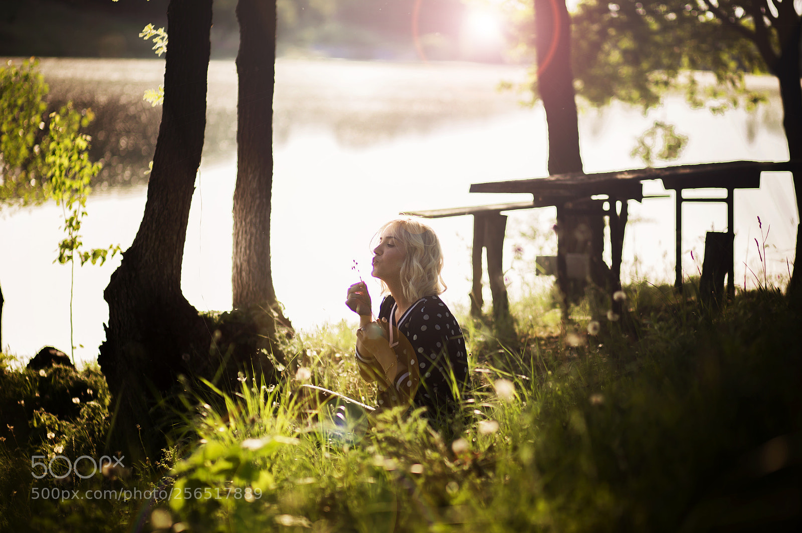 Canon EOS 6D sample photo. Pie photography