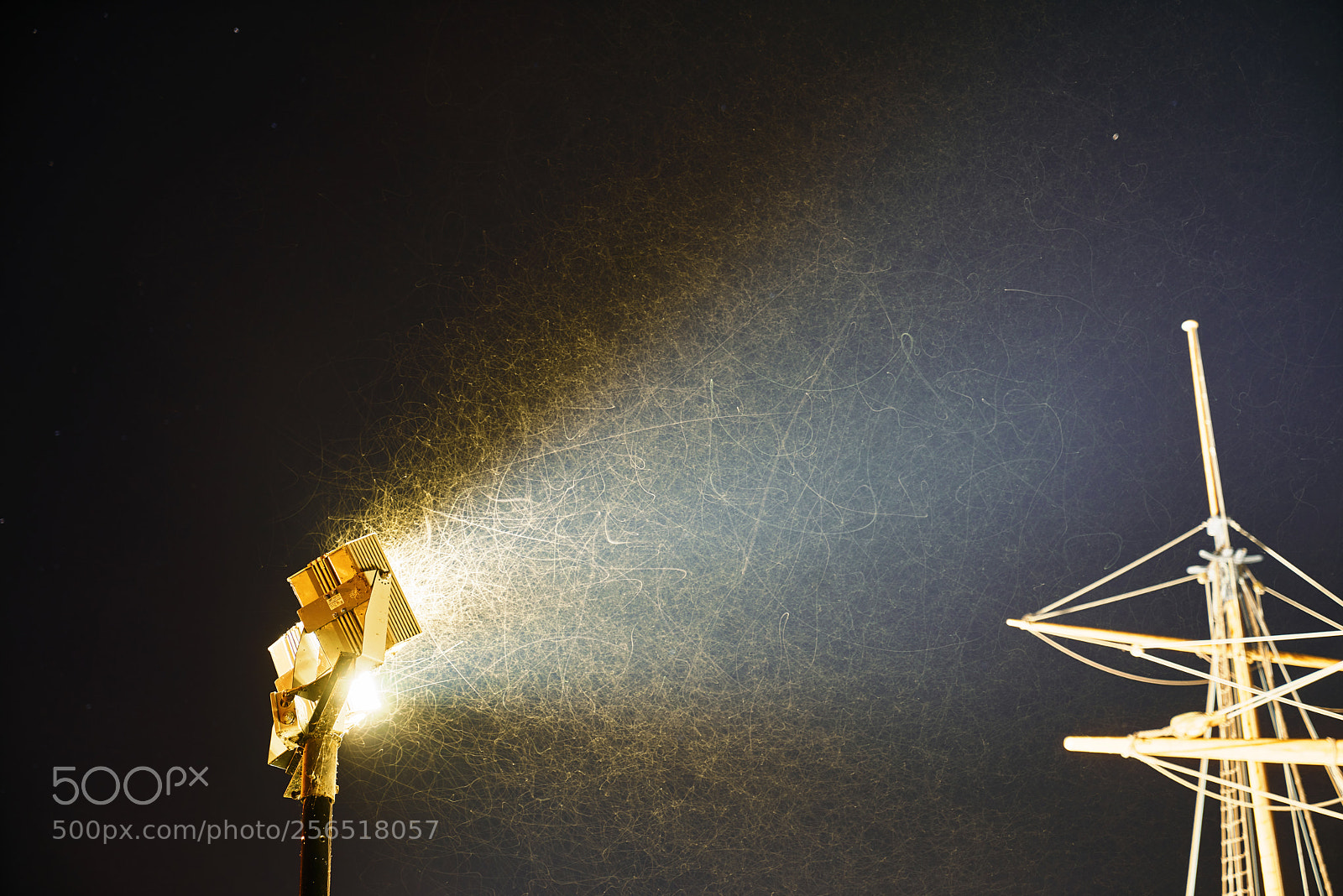 Sony a7R sample photo. Voronezh photography
