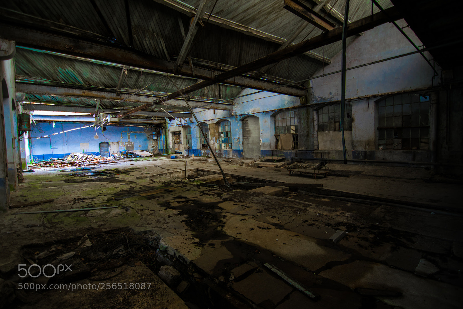 Nikon D5300 sample photo. L'usine photography