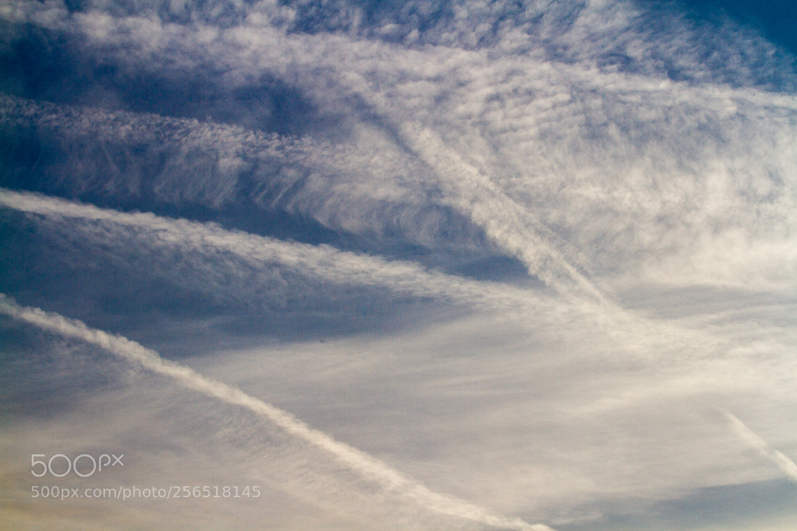 Canon EOS 7D sample photo. Untitled photography