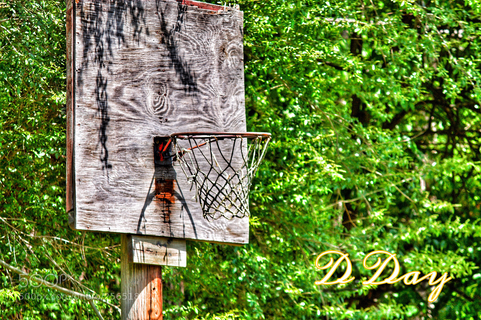 Canon EOS 1100D (EOS Rebel T3 / EOS Kiss X50) sample photo. Homemade basketball hoop photography