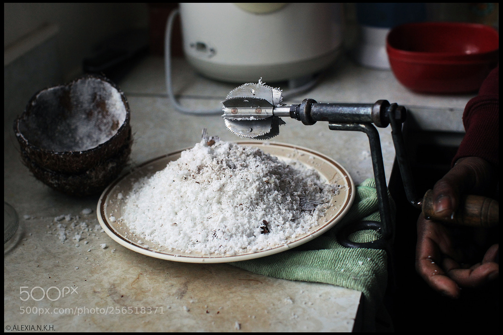 Canon EOS 5D Mark II sample photo. Grated coconut photography
