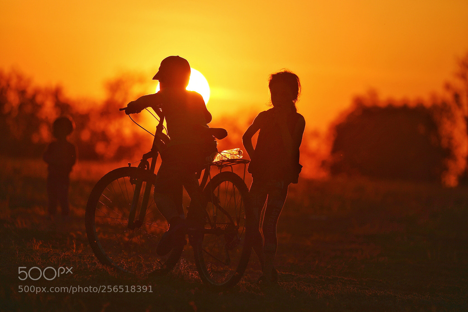 Canon EOS 5D Mark IV sample photo. Follow the sun photography