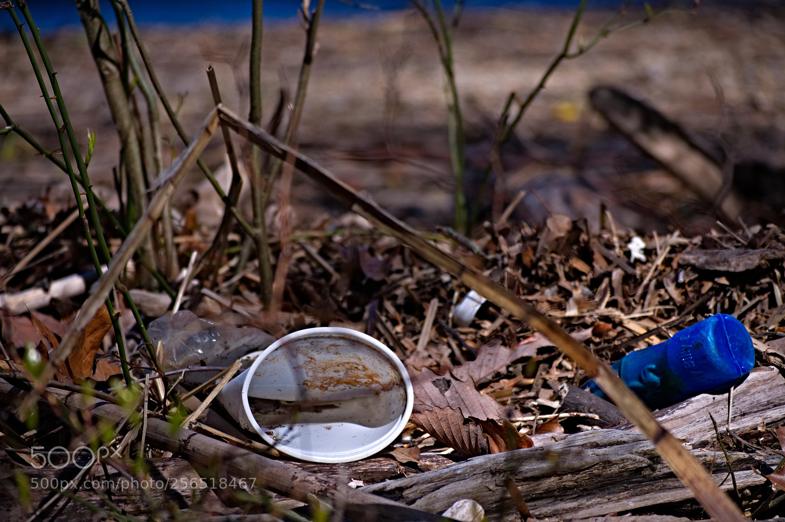 Nikon D5000 sample photo. Mallows bay detritus ii photography