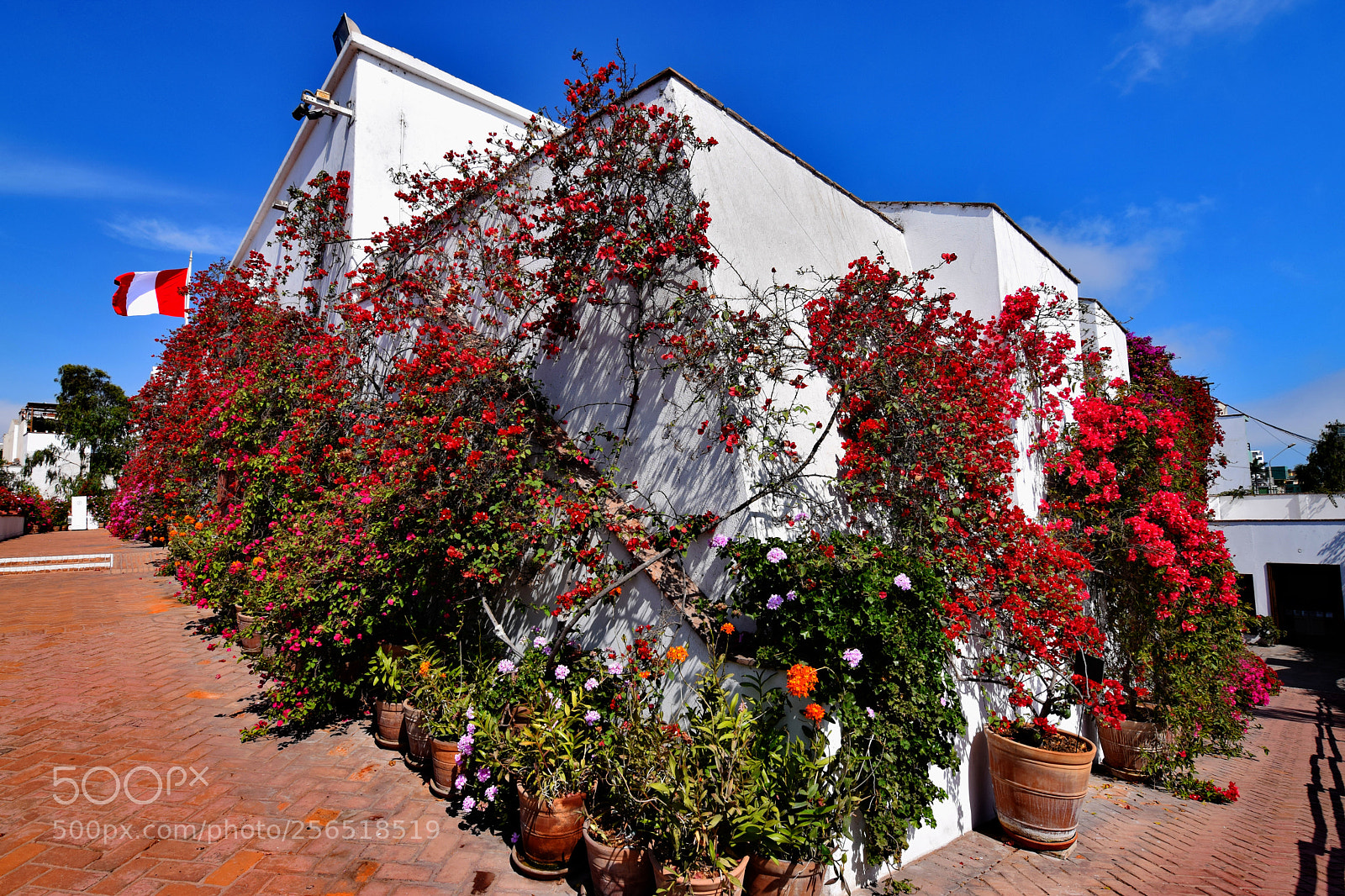 Nikon D3300 sample photo. Museo larco walls photography