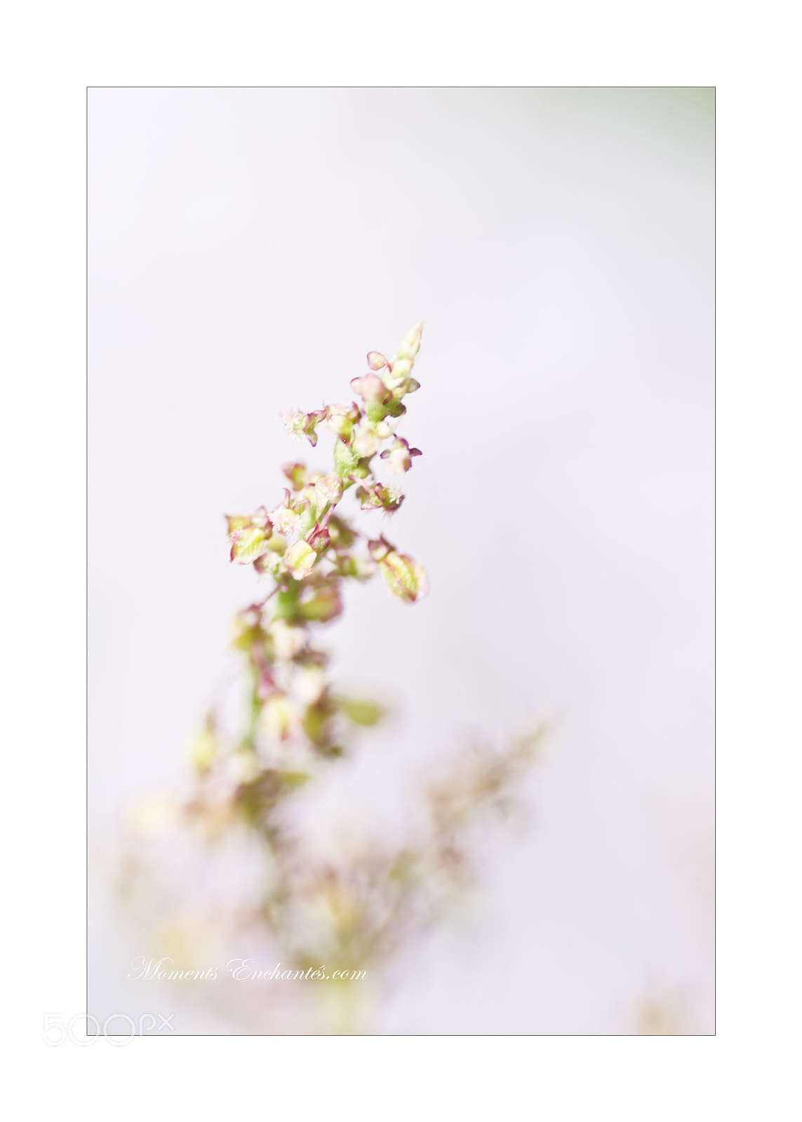 Pentax K-5 sample photo. Surette photography