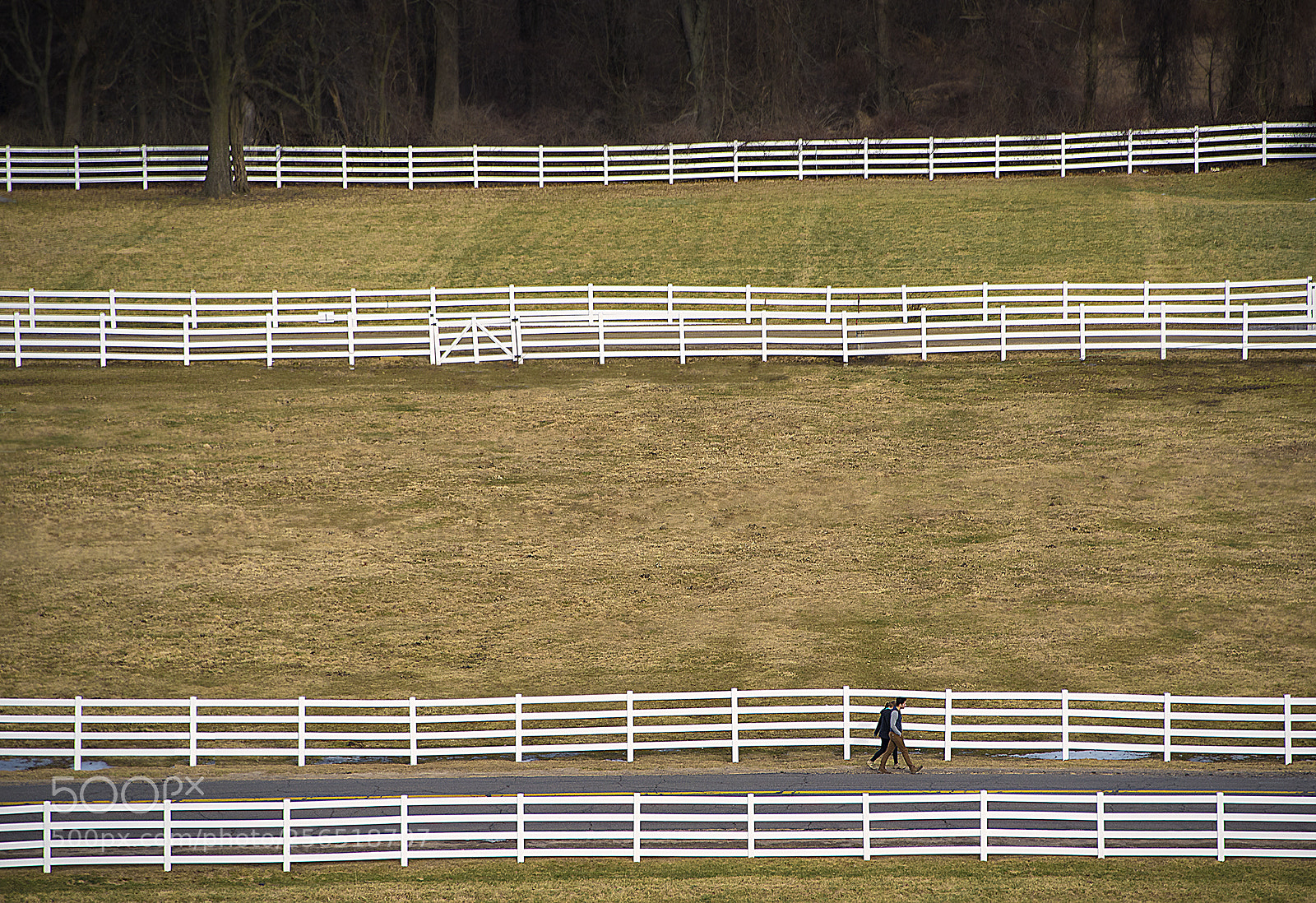 Nikon D750 sample photo. Fences photography