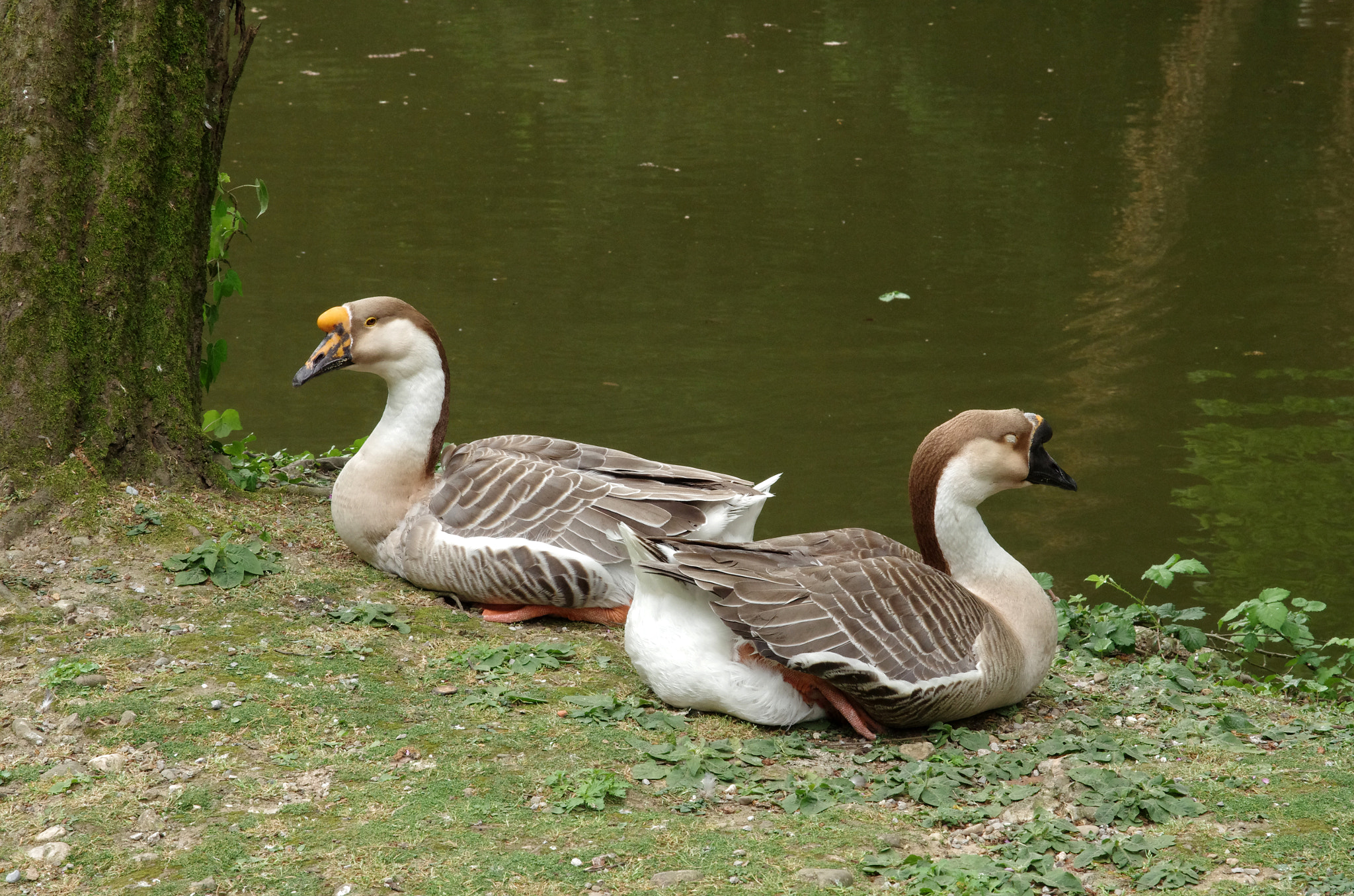 Pentax K-5 sample photo