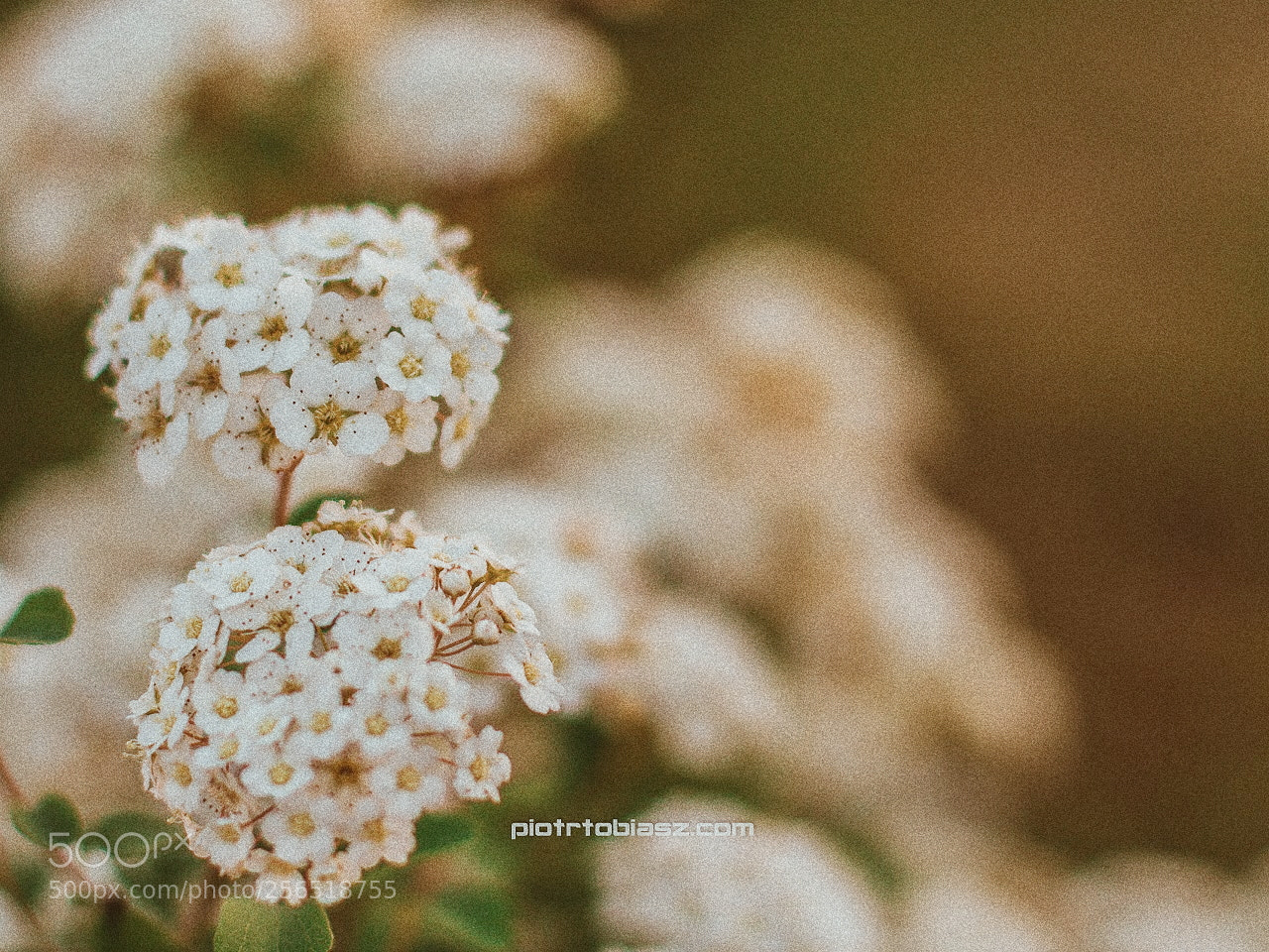Canon EOS 7D sample photo. Processed with vsco with photography