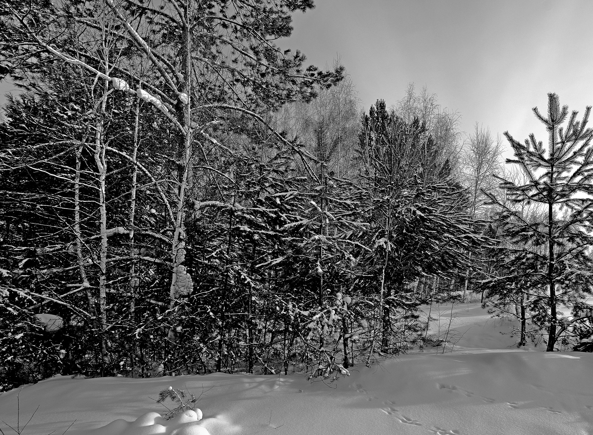 Nikon D7000 sample photo. Закуток Оттенки серого photography