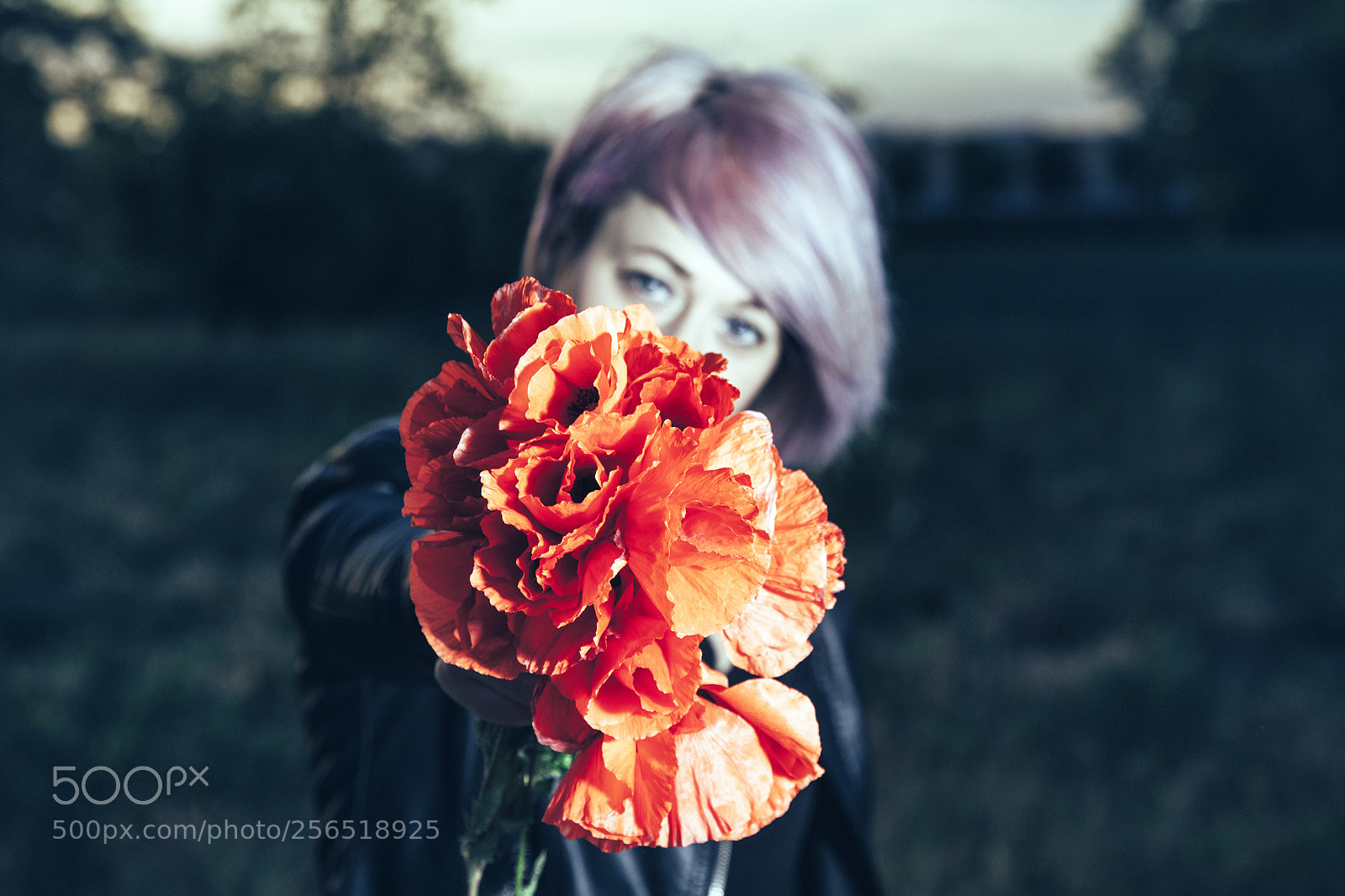 Canon EOS 5D Mark II sample photo. Untitled photography