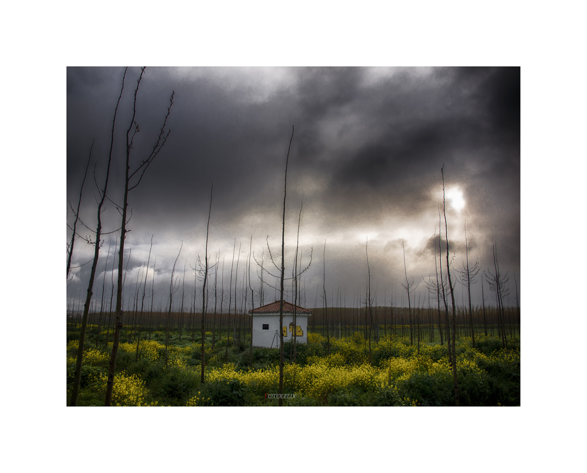 Olympus E-30 sample photo. Averno photography