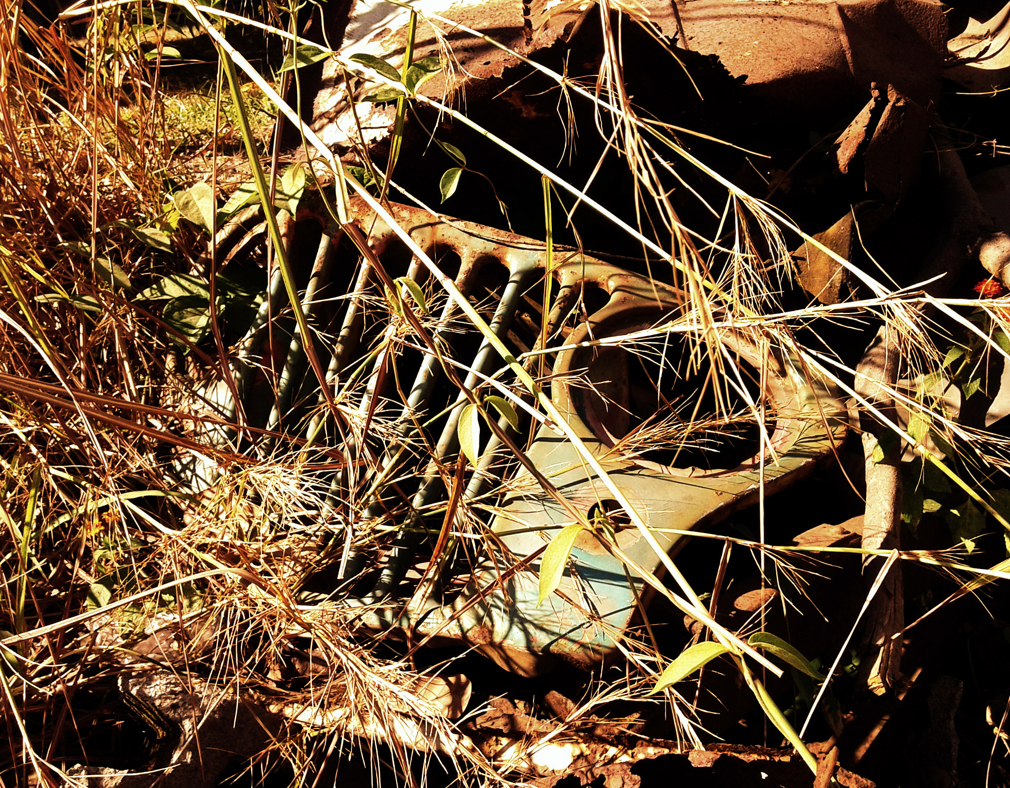 Samsung Galaxy Core sample photo. Hiding jeep photography