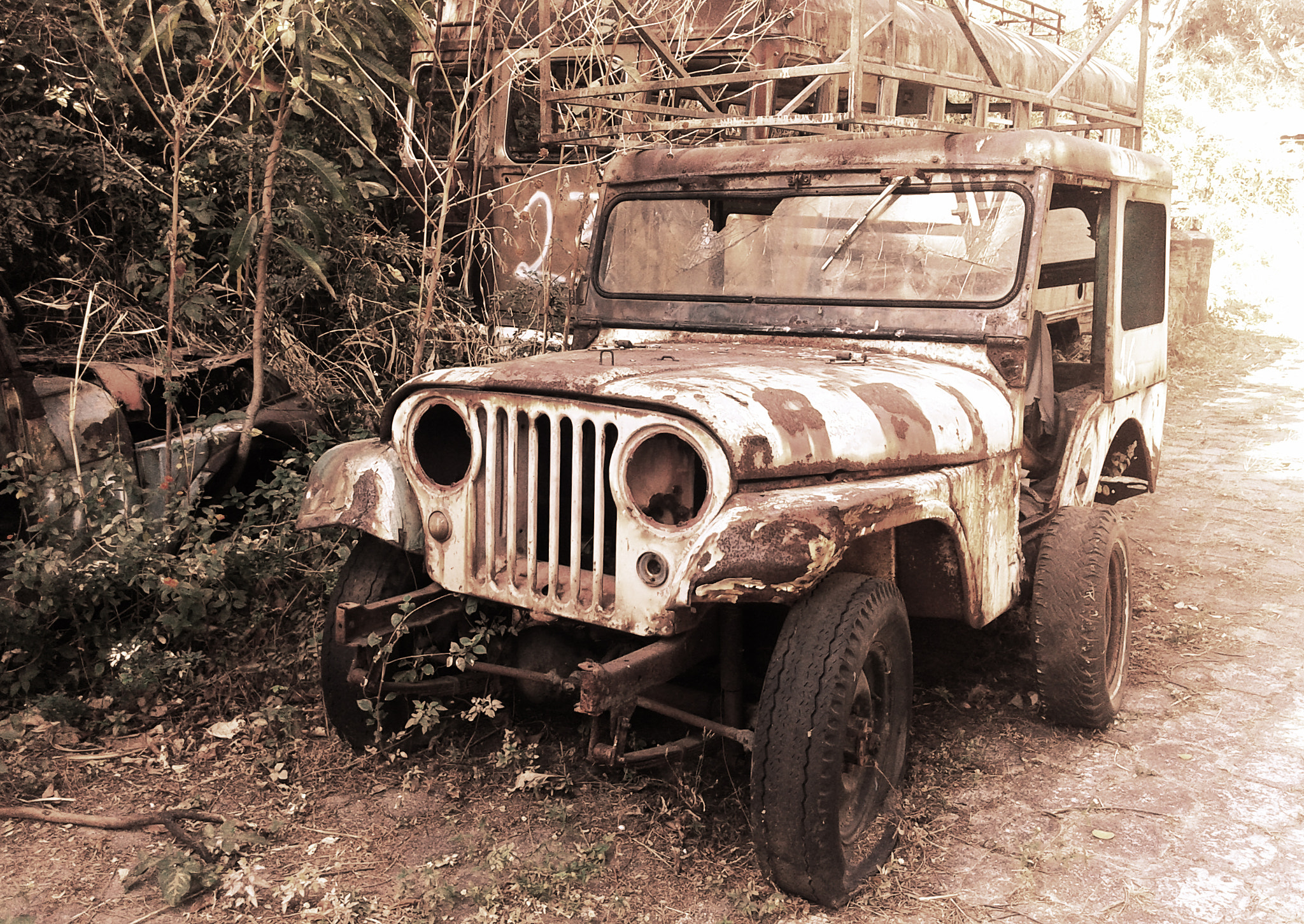 Samsung Galaxy Core sample photo. Old friend photography