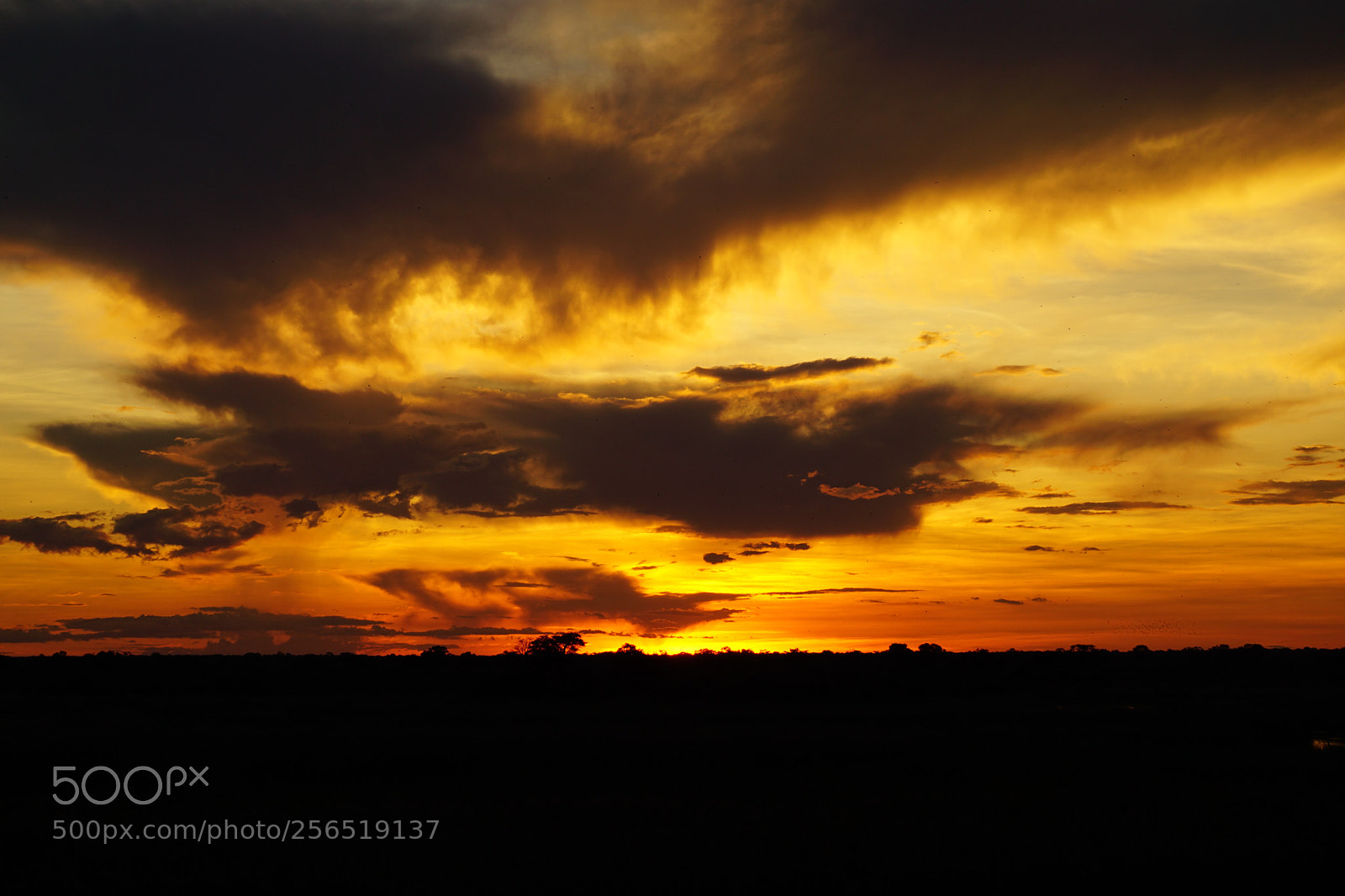Sony a5100 sample photo. Sunset in africa photography