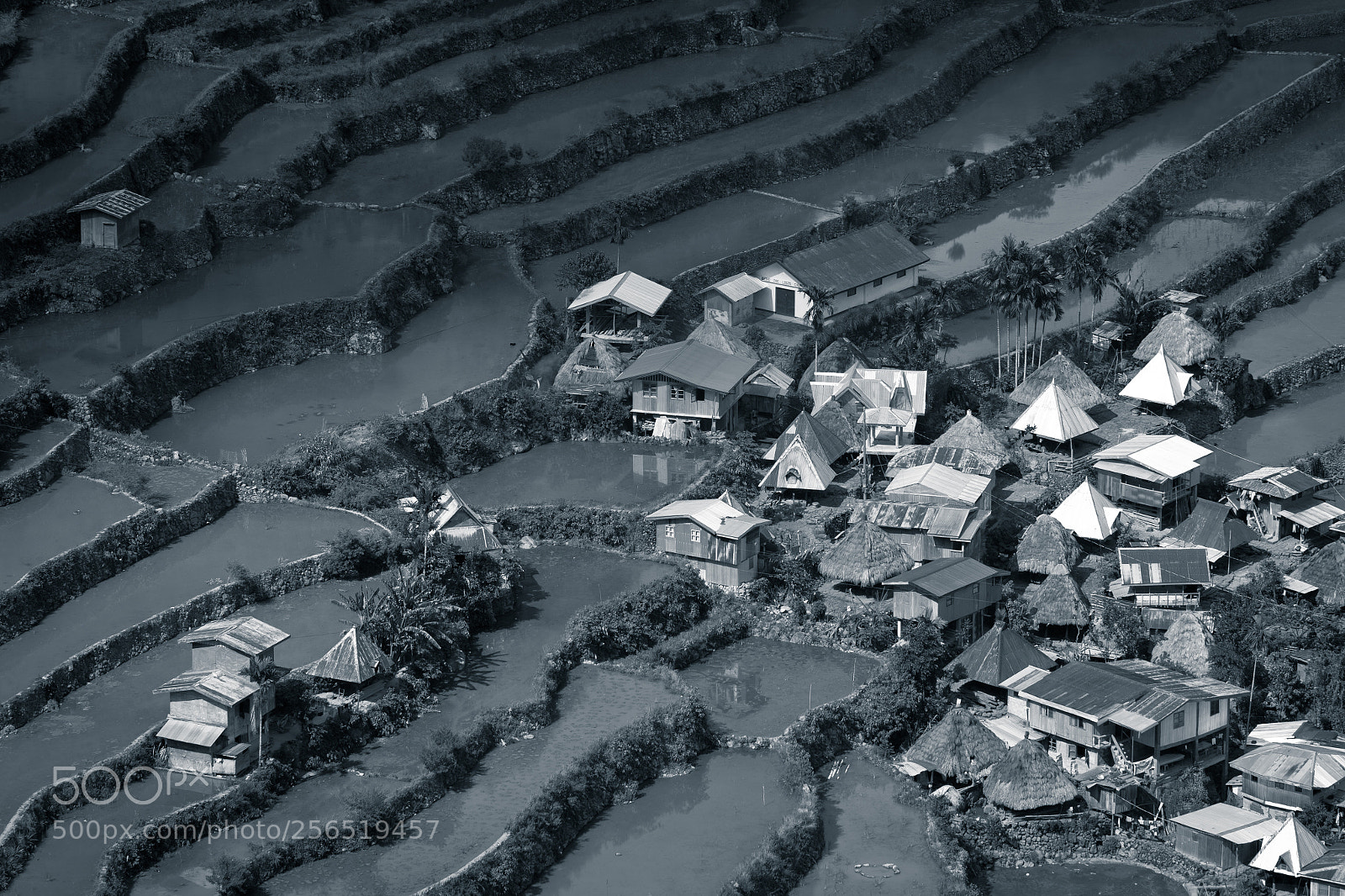 Canon EOS 60D sample photo. Banaue rice terraces in photography
