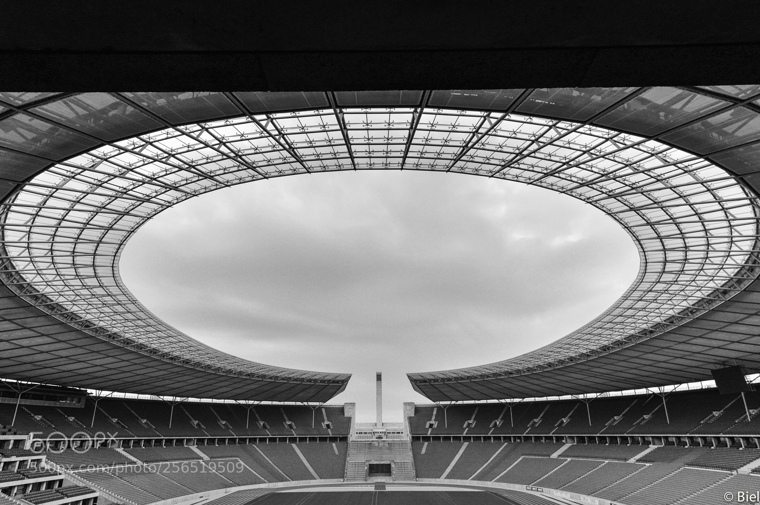 Nikon D610 sample photo. Stadium photography