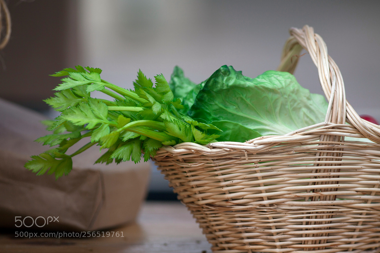 Canon EOS 5D Mark II sample photo. Composi o com natural photography