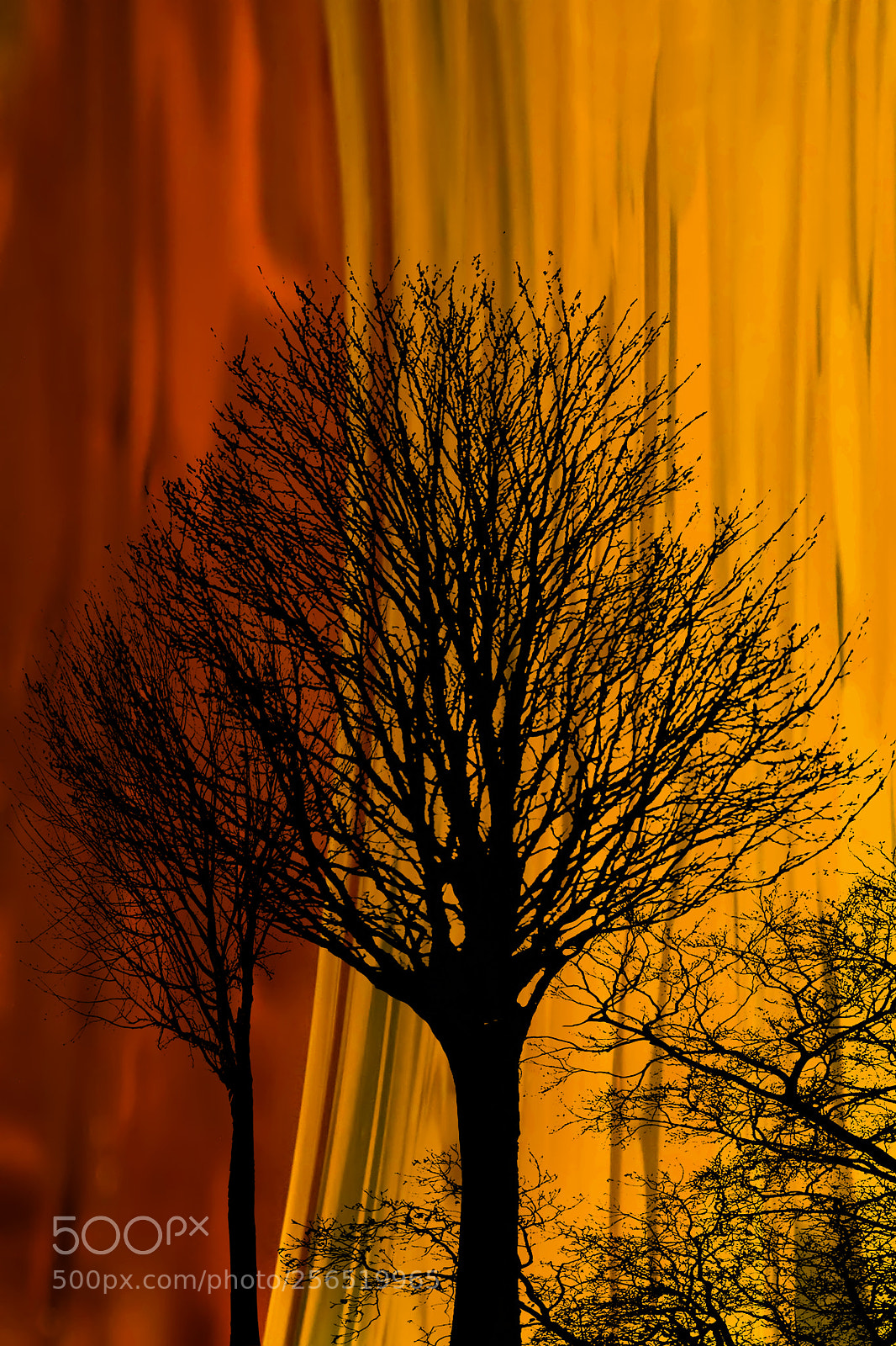 Canon EOS 50D sample photo. Fleeting silhouette photography