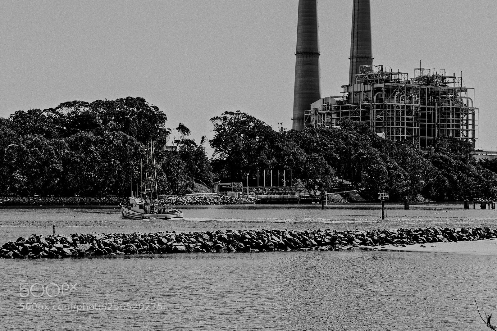 Canon EOS-1D X sample photo. South coast 116 photography