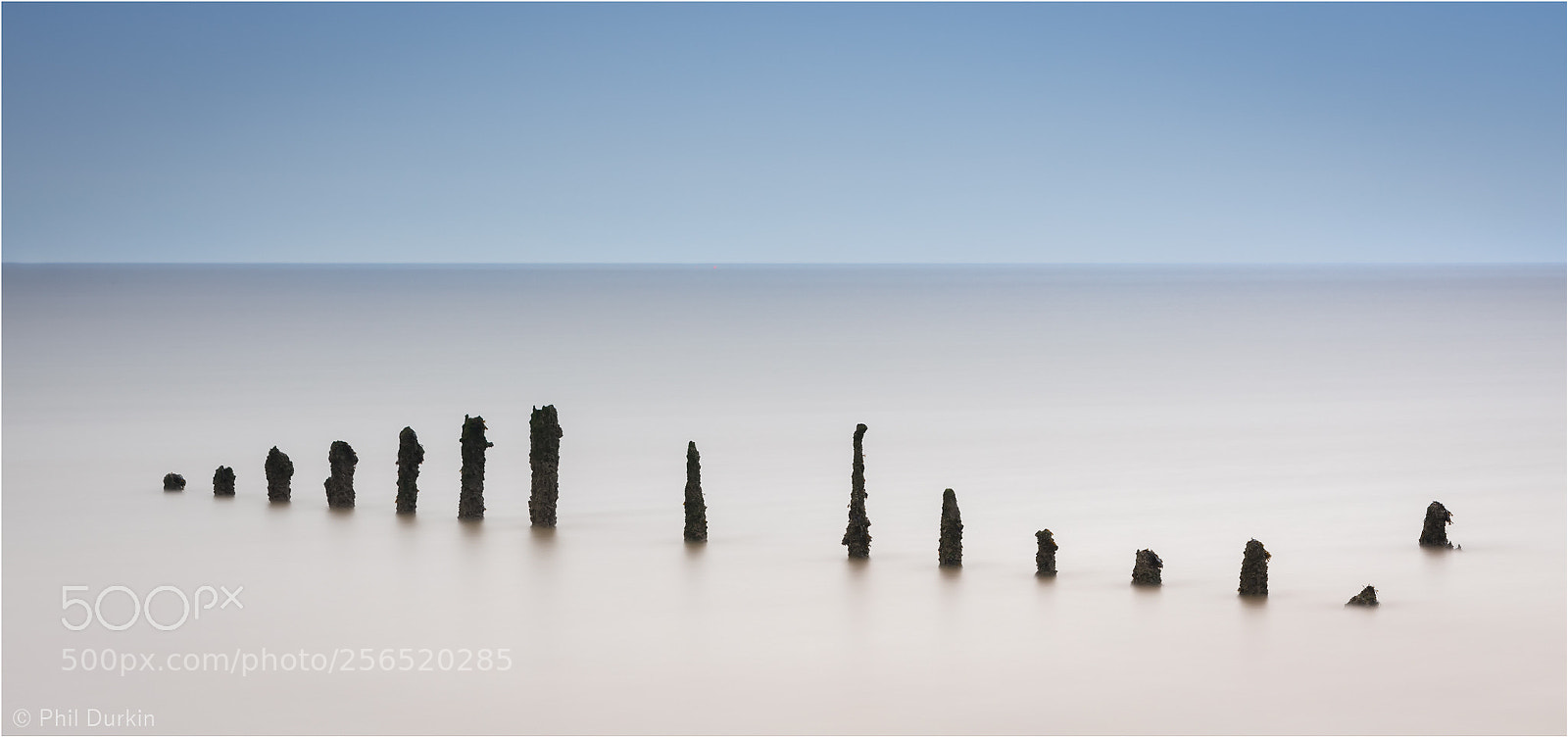 Canon EOS 5D Mark IV sample photo. Sticks photography