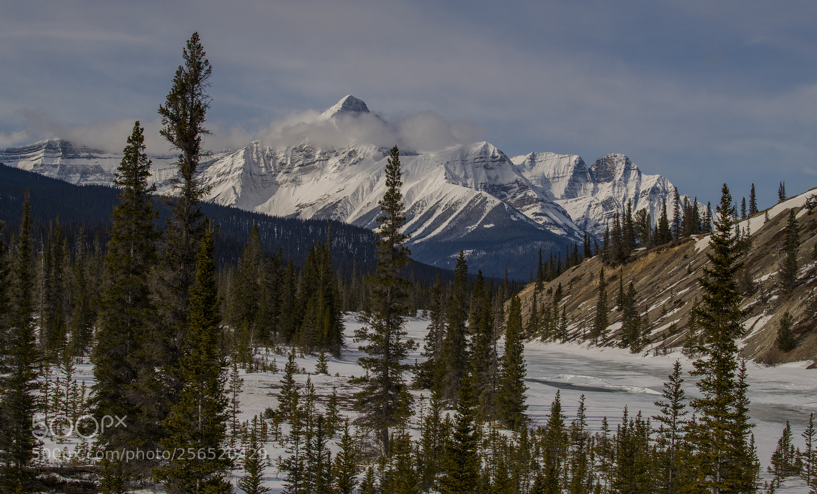 Nikon D850 sample photo. Saskatchewan river crossing-banff national photography